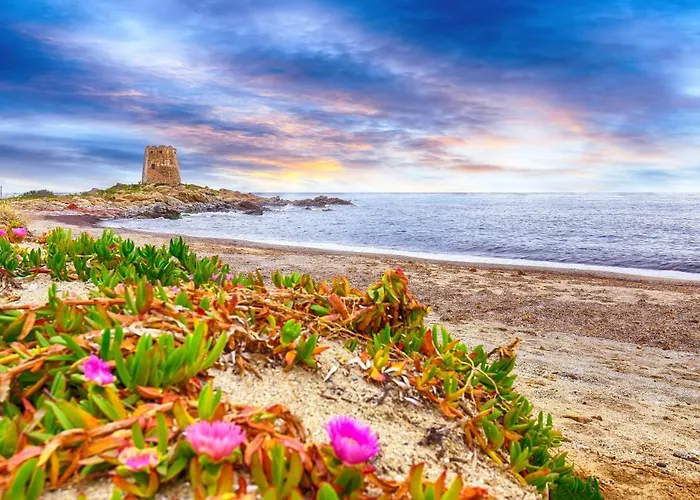 Le Corti Sarde Διαμέρισμα