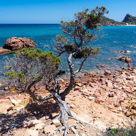 Le Corti Sarde Lägenhet Bari Sardo