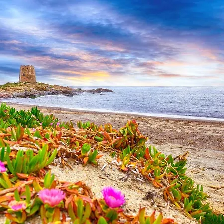 Le Corti Sarde Lägenhet